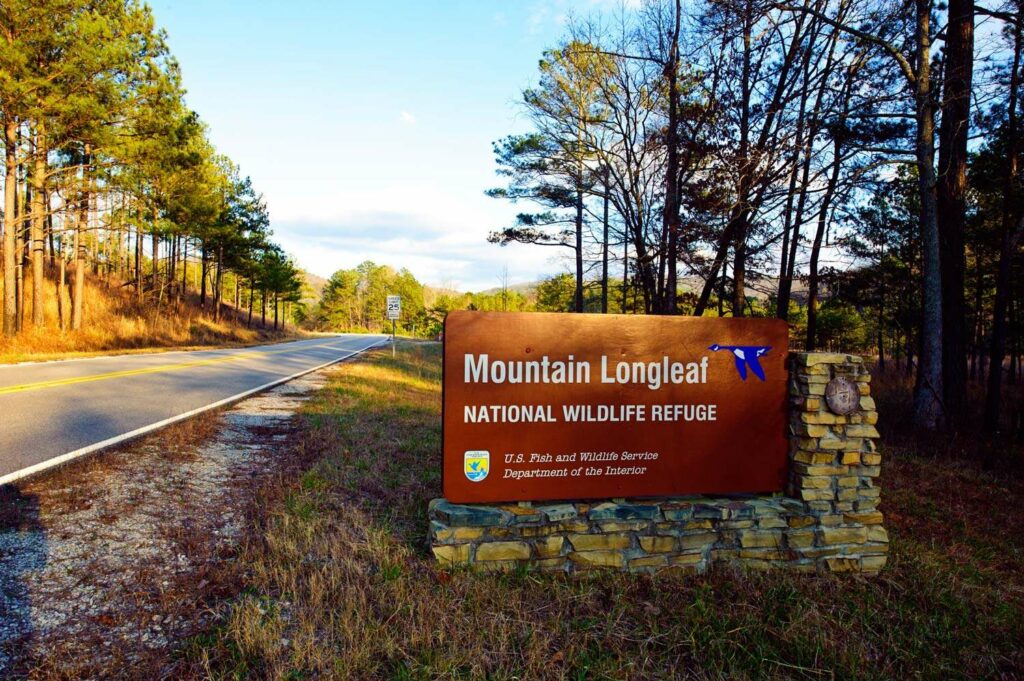 sign for the longleaf mountain national state park