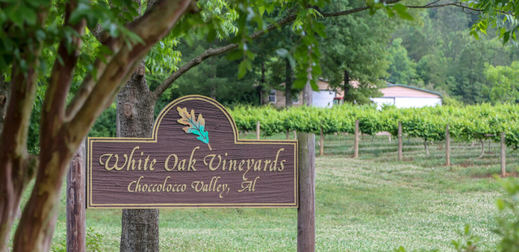 sign in front of the vineyards at White Oak Vineyards
